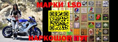 сатива Гатчина