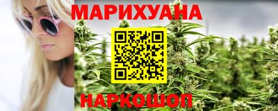 сатива Гатчина