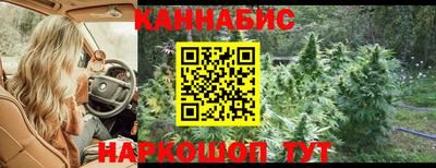 сатива Гатчина