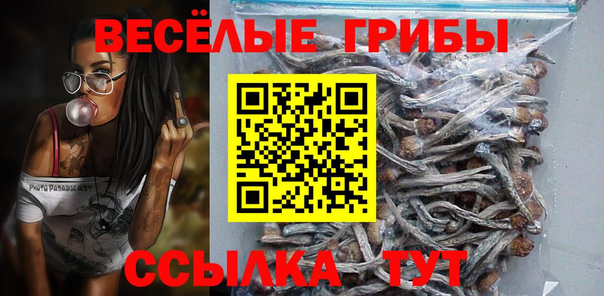 Псилоцибиновые грибы мухоморы  Вход с VPN  Чита  Галлюциногенные грибы прущие грибы 
