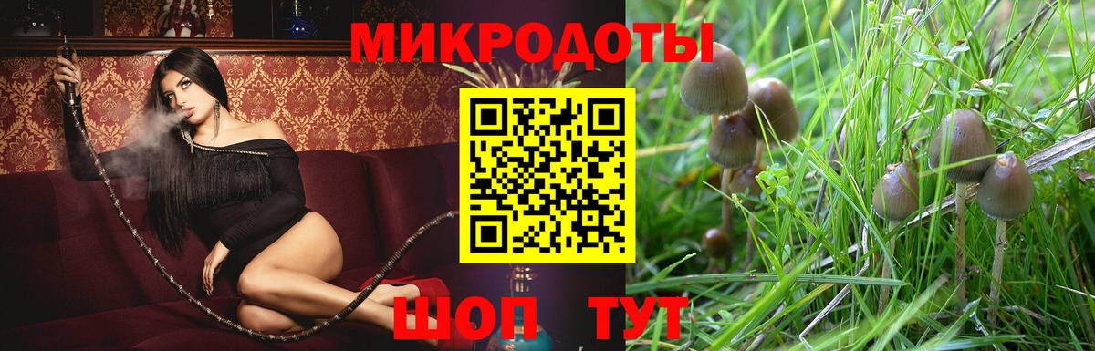 Псилоцибиновые грибы мицелий Чита